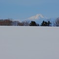 雪原の利尻富士
