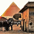 Photos: エジプト