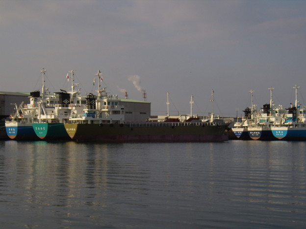 東播磨港でお正月を過ごす内航船たち