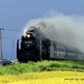 Photos: 蒸気機関車（?51)