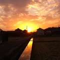 Photos: 水路と夕日