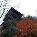 五重塔と紅葉