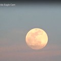 Photos: Where are Es Watching this Super Flowermoon 5-25-21 2000