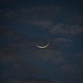 Photos: Paper Moon 10-4-21