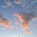 Photos: 屋根の上の夕焼け雲　その1