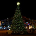 Photos: Punta Gorda Christmas Tree II 12-7-21