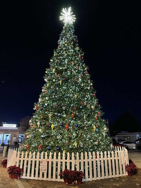 Punta Gorda Christmas Tree I 12-7-21