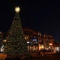 Photos: Punta Gorda Christmas Tree with the Moon 12-7-21