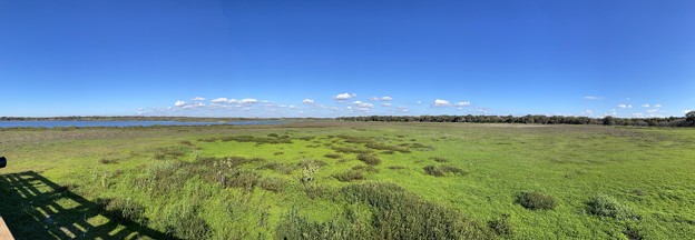 Wetland Panorama 12-30-21