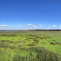 Photos: Wetland Panorama 12-30-21