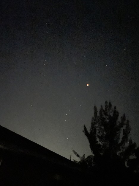 Blood Moon and Scorpius 5-16-22 1205
