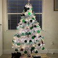 Photos: My Tree 12-12-22