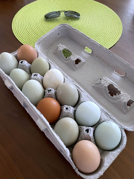 Fresh Local Eggs 2-2-23