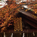 Photos: 2021_1205_130428_野宮神社