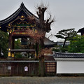 Photos: 2023_0114_150353_西本願寺
