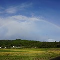 Photos: 虹がでた