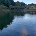 Photos: 2021年 オープン3日目の東山湖へ