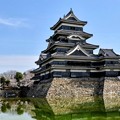 Photos: 松本城と桜