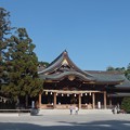 Photos: 寒川神社拝殿／神木