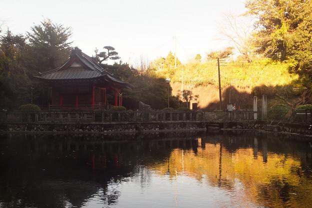 Photos: 清左衛門地獄池／狩野厳島神社