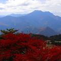 Photos: ☆瓶ヶ森の紅葉と石鎚山
