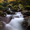 Photos: 秋の渓流