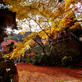 Photos: 両子寺の秋
