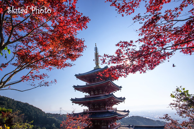 Photos: 秋の五重塔