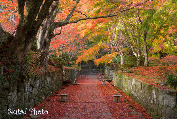 Photos: 両子寺の秋2