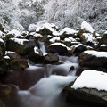 Photos: 冬の渓谷