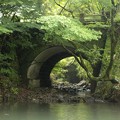 Photos: 観音橋