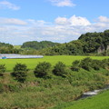松尾橋からの風景