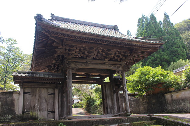Photos: 満徳寺山門