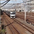Photos: 横須賀線