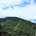 Photos: 山北の森