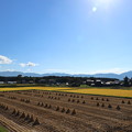 Photos: 収穫の秋
