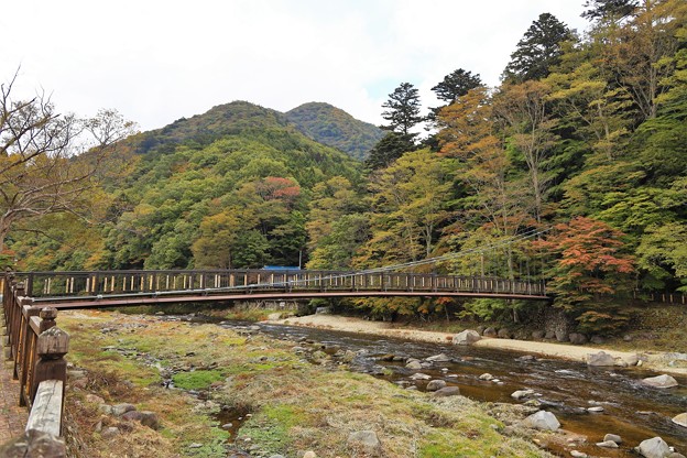 Photos: 紅の吊橋