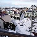 横浜の大雪