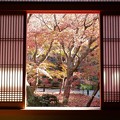 Photos: 京都