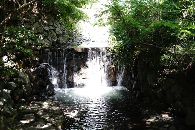 横浜白糸の滝