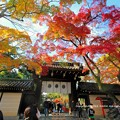 Photos: 今宮神社
