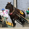 Photos: ホクセイゼイ レース（21/03/13・1R）