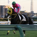 Photos: マリノディアナ 返し馬（19/11/30・12R）