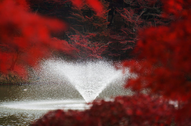 紅葉と噴水