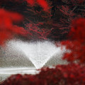 紅葉と噴水