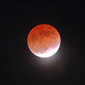 Photos: Red Moon