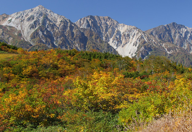 Photos: 紅葉の白馬三山