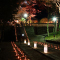 竹灯りの香積寺