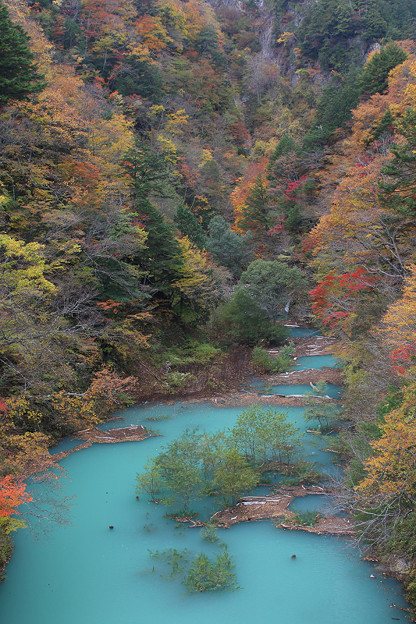高瀬渓谷の秋