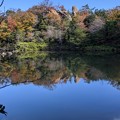 Photos: 北山池